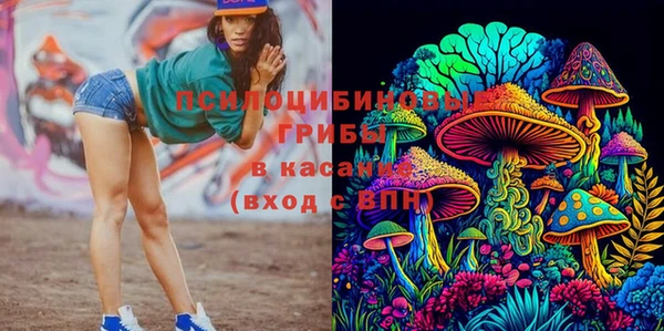 шишки Волоколамск