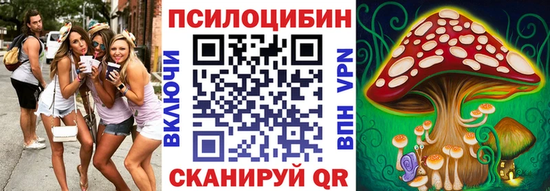 Галлюциногенные грибы мицелий  Купить закладки  Воткинск 